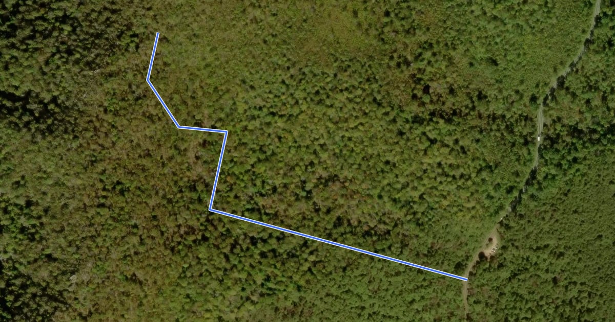 Маршрут Meadow Springs Trail на спутниковом снимке