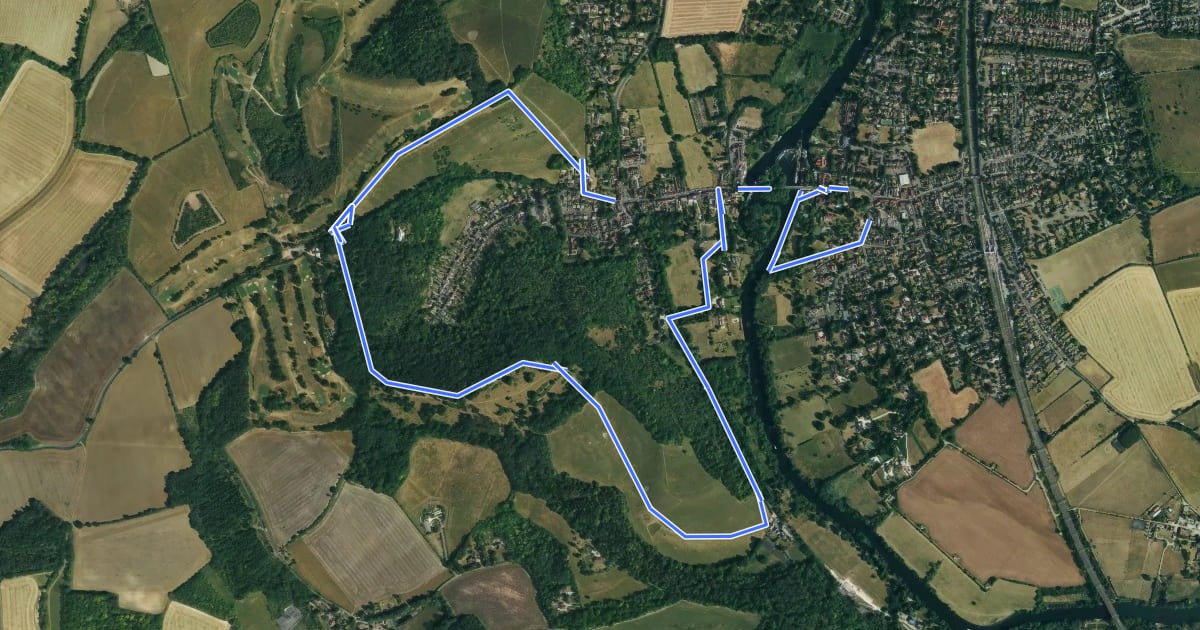 Маршрут Meadows and Woodlands of Streatley Walk, Goring Gap на спутниковом снимке