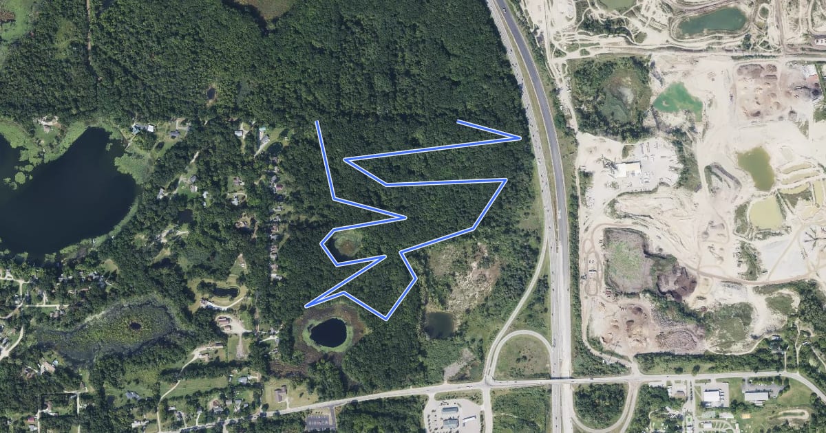 Маршрут Meadows Loop на спутниковом снимке