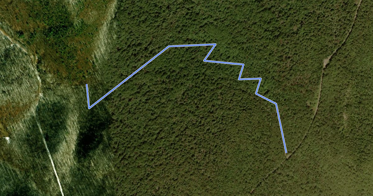Маршрут Meadows School Trail на спутниковом снимке
