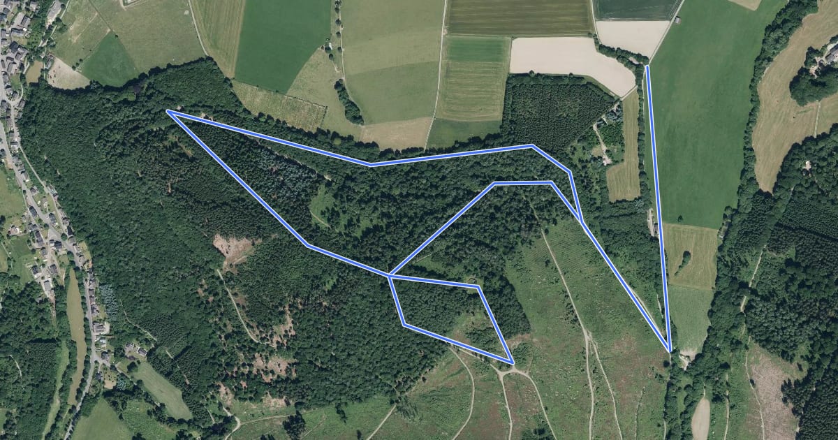 Маршрут Mechterkuse Rundweg A1 на спутниковом снимке