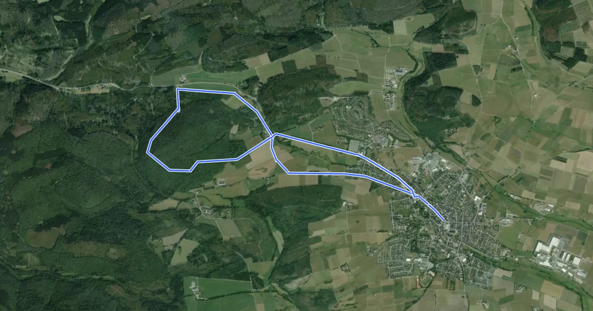 Маршрут Medebach Rundweg M2 Hessebergweg на спутниковом снимке