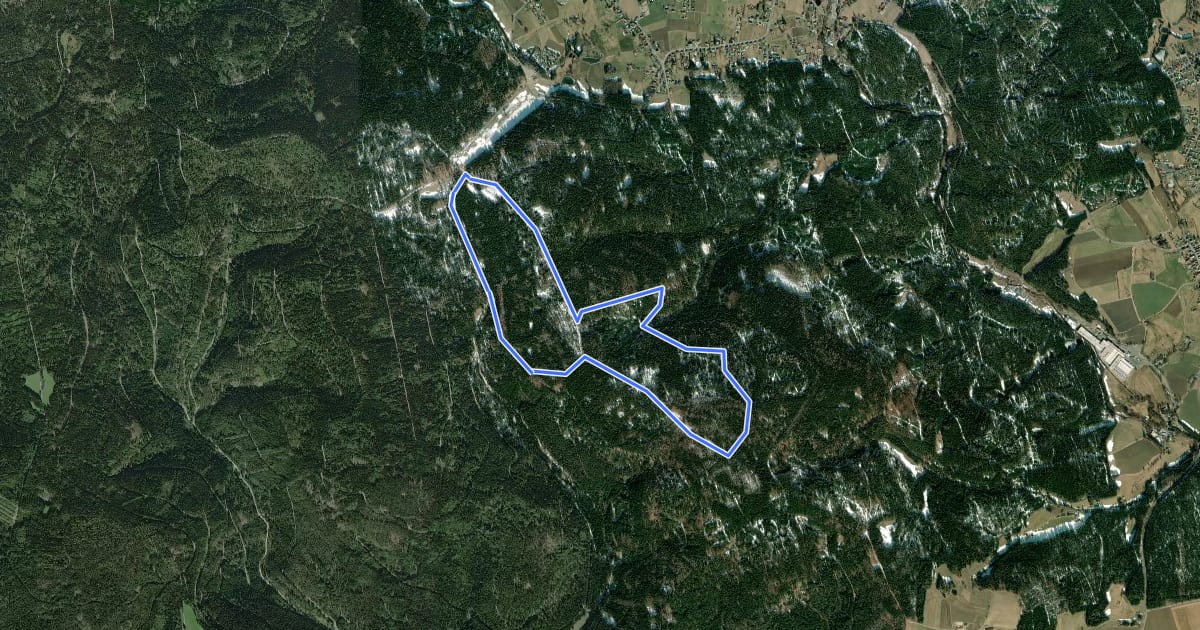 Маршрут Mehlmeisel Rundwanderweg Wolfssäulenweg на спутниковом снимке