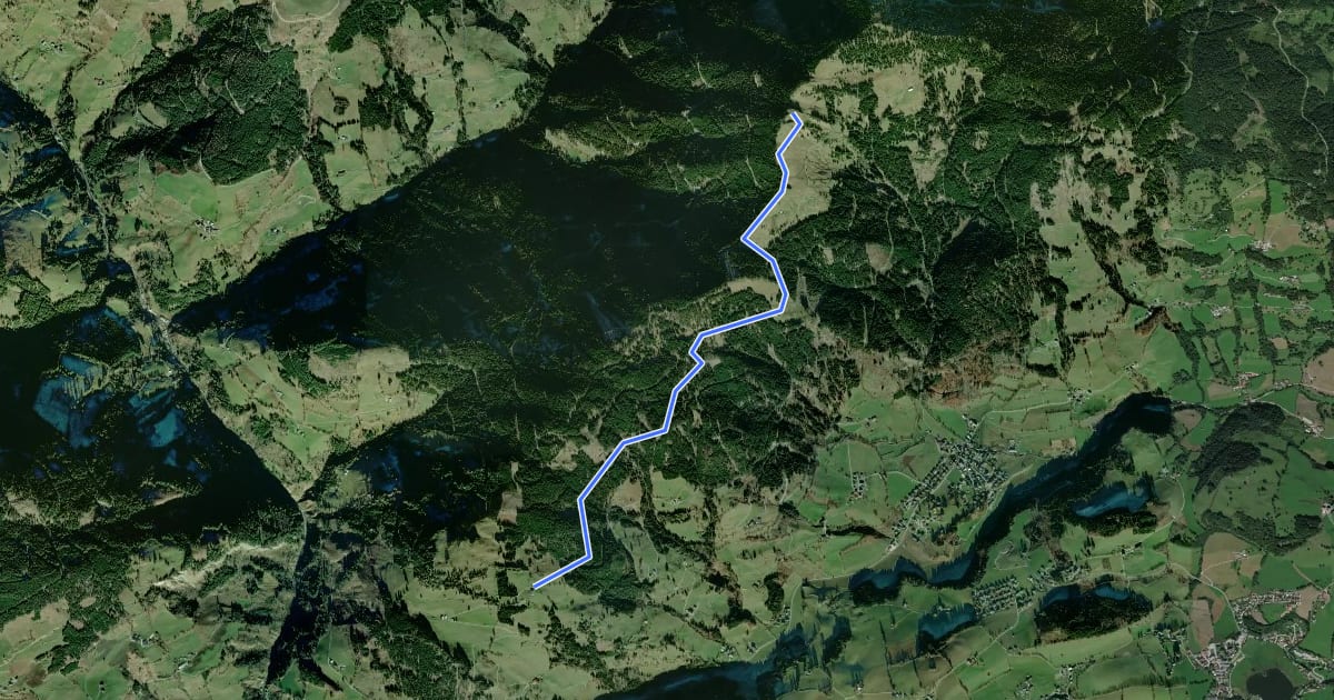 Маршрут Meiselsteinalm-Gamskögerl на спутниковом снимке