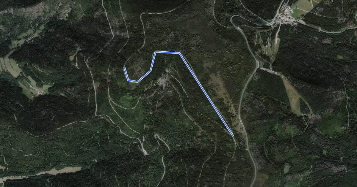 Маршрут Melkereikopf Ettlinger Hütte - Schweinkopf на спутниковом снимке