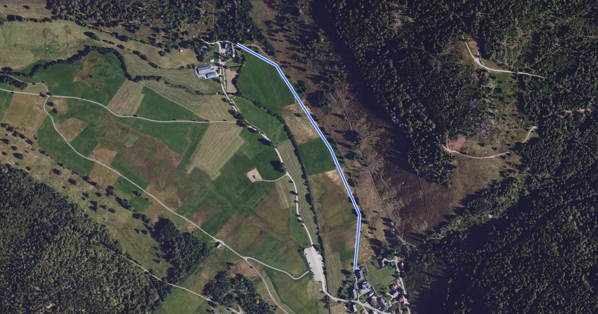 Маршрут Menzenschwand Hinterdorf - Zum Kuckuck на спутниковом снимке