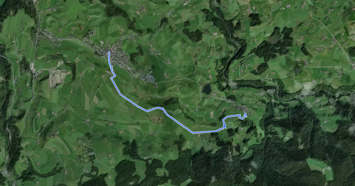 Маршрут Menzingen - Finstersee на спутниковом снимке