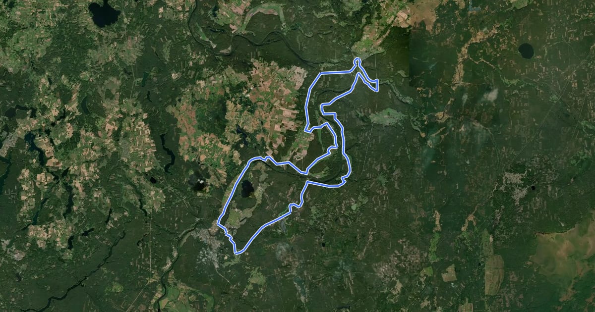 Маршрут Merkinė-Česukai-Pašilingė-Maksimai-Utieka-Žiogeliai-Druskininkai-Gailiūnai-Liškiava-Žeimiai-Gudeliai-Panara-Merkinė на спутниковом снимке