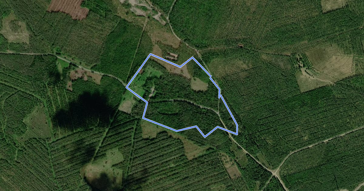 Маршрут Metsänvartijan polku на спутниковом снимке
