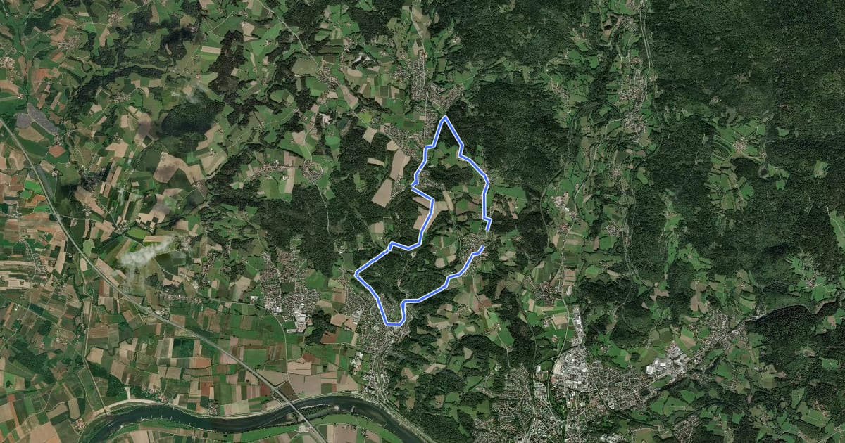 Маршрут Mettener Rundwanderweg Nr. 10 на спутниковом снимке