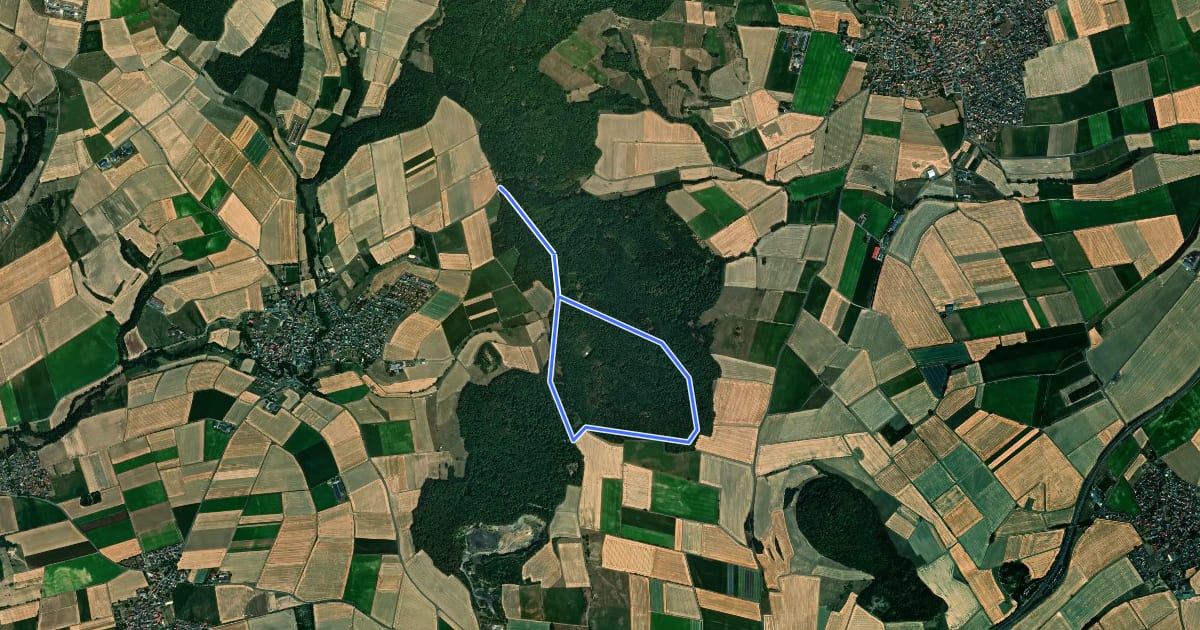Маршрут Metze, Rundweg 1 на спутниковом снимке