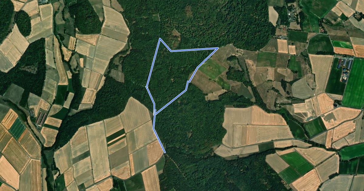 Маршрут Metze, Rundweg 2 на спутниковом снимке
