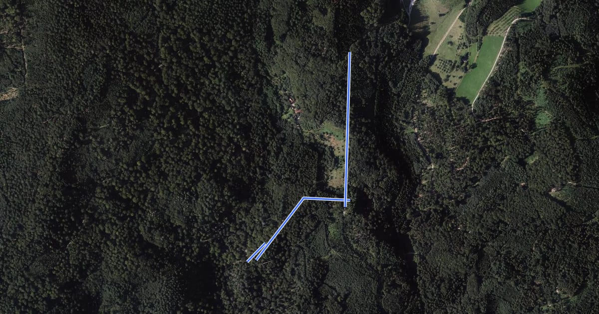 Маршрут Metzgers Wald - Oberer Burgerwald на спутниковом снимке