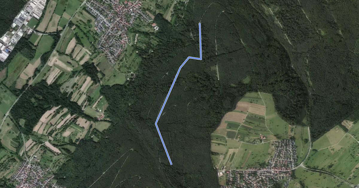 Маршрут Metzgerweg - Winterberg на спутниковом снимке