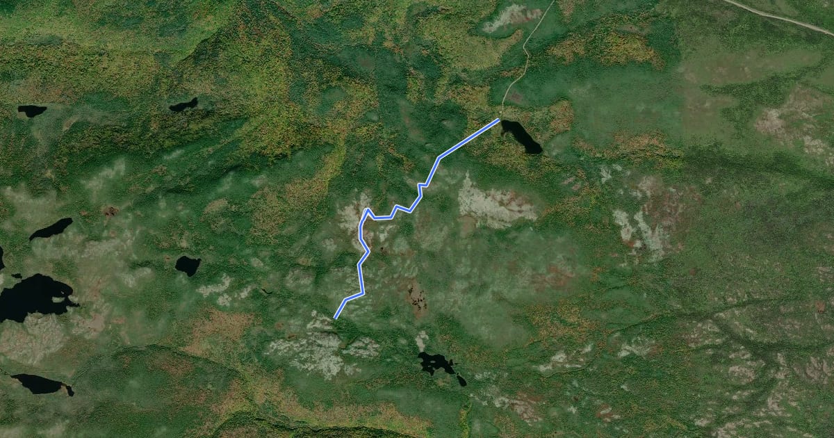 Маршрут Mica Hill Trail на спутниковом снимке