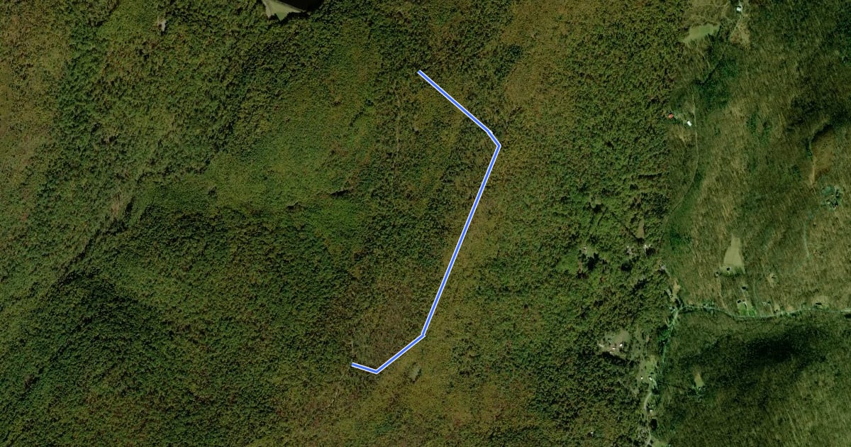 Маршрут Michaux - Corner Ten Trail на спутниковом снимке