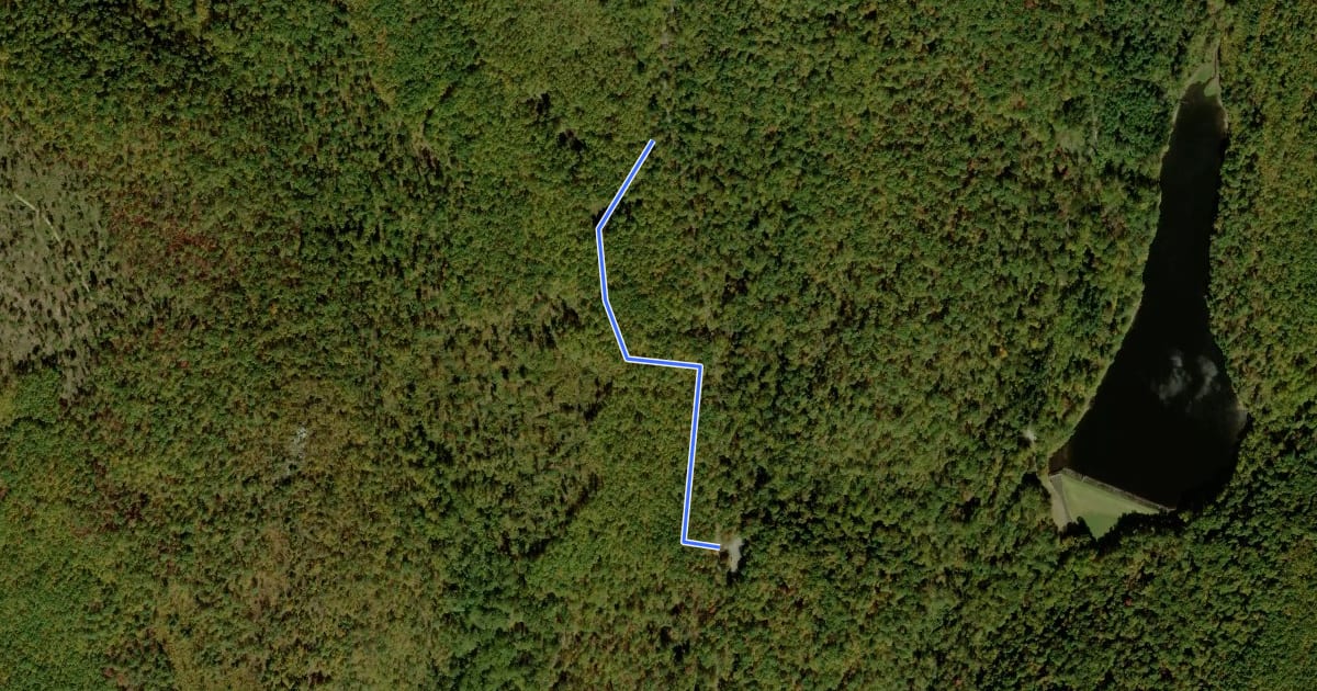 Маршрут Michaux - County Line Trail на спутниковом снимке