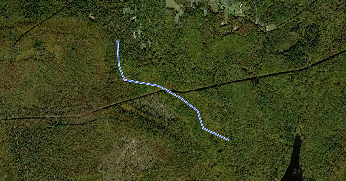 Маршрут Michaux - Hayes Run Road на спутниковом снимке