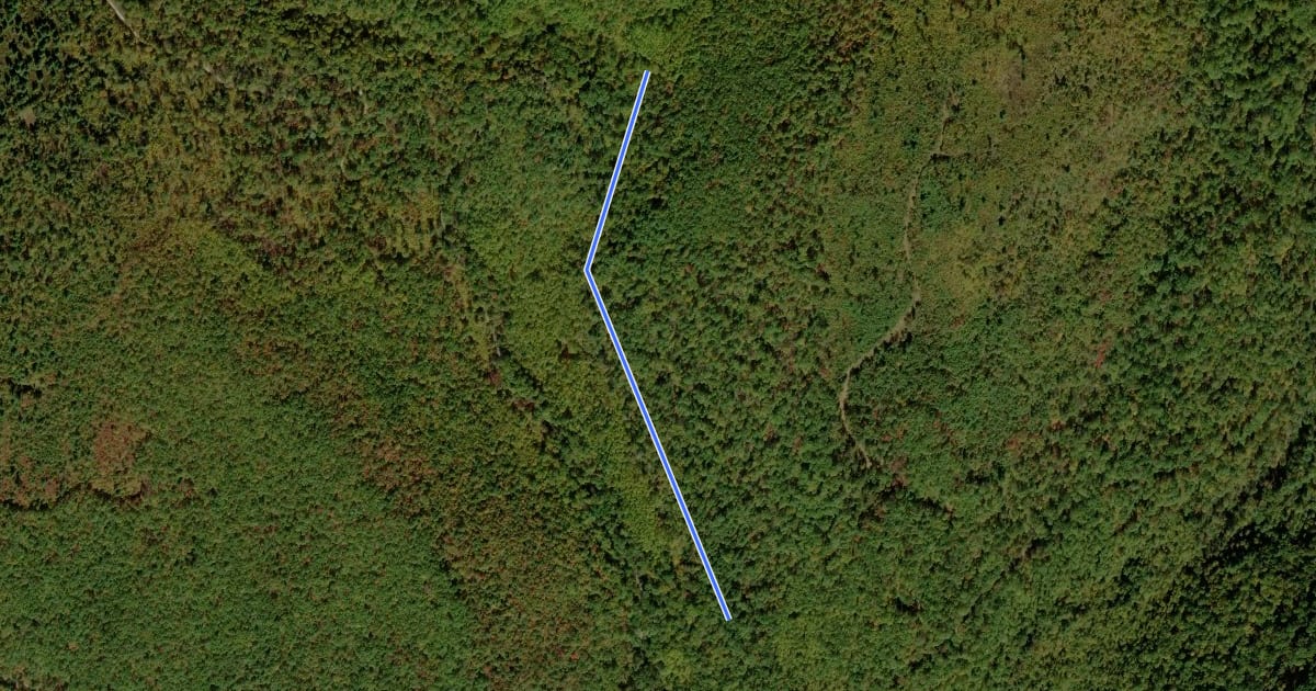 Маршрут Michaux - Hermitage Trail на спутниковом снимке