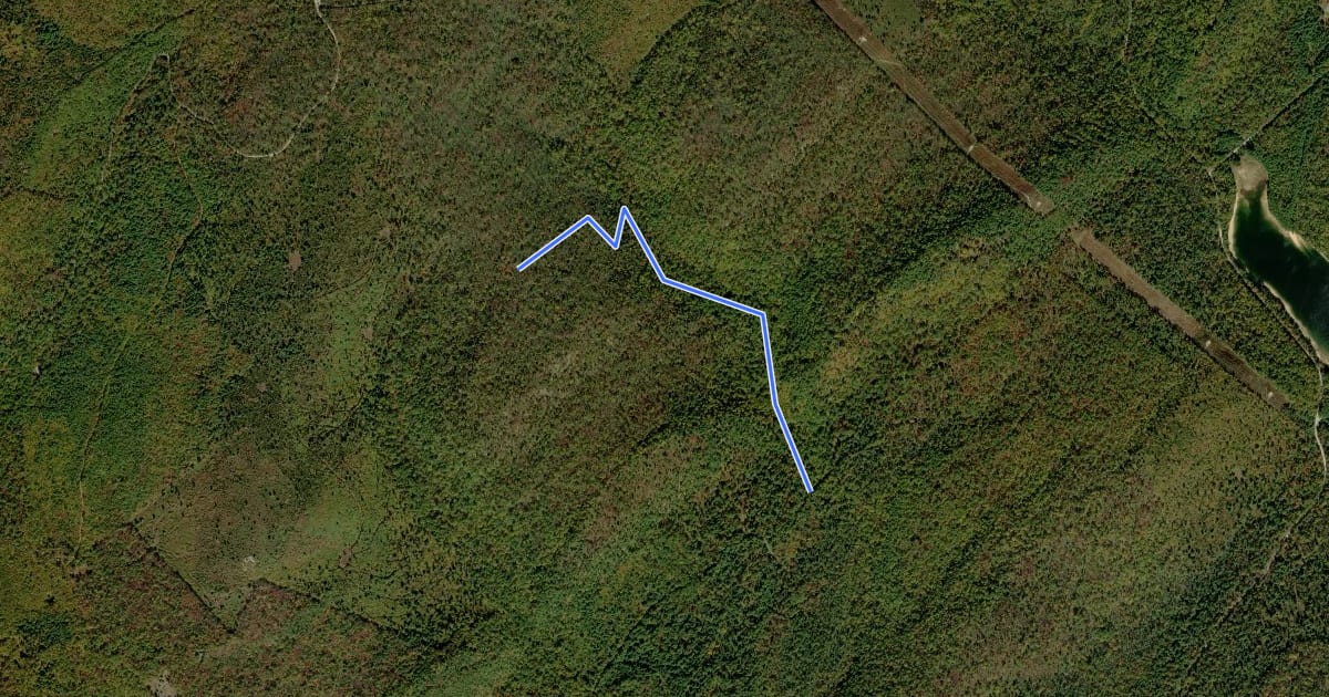 Маршрут Michaux - Hosack Run Trail на спутниковом снимке