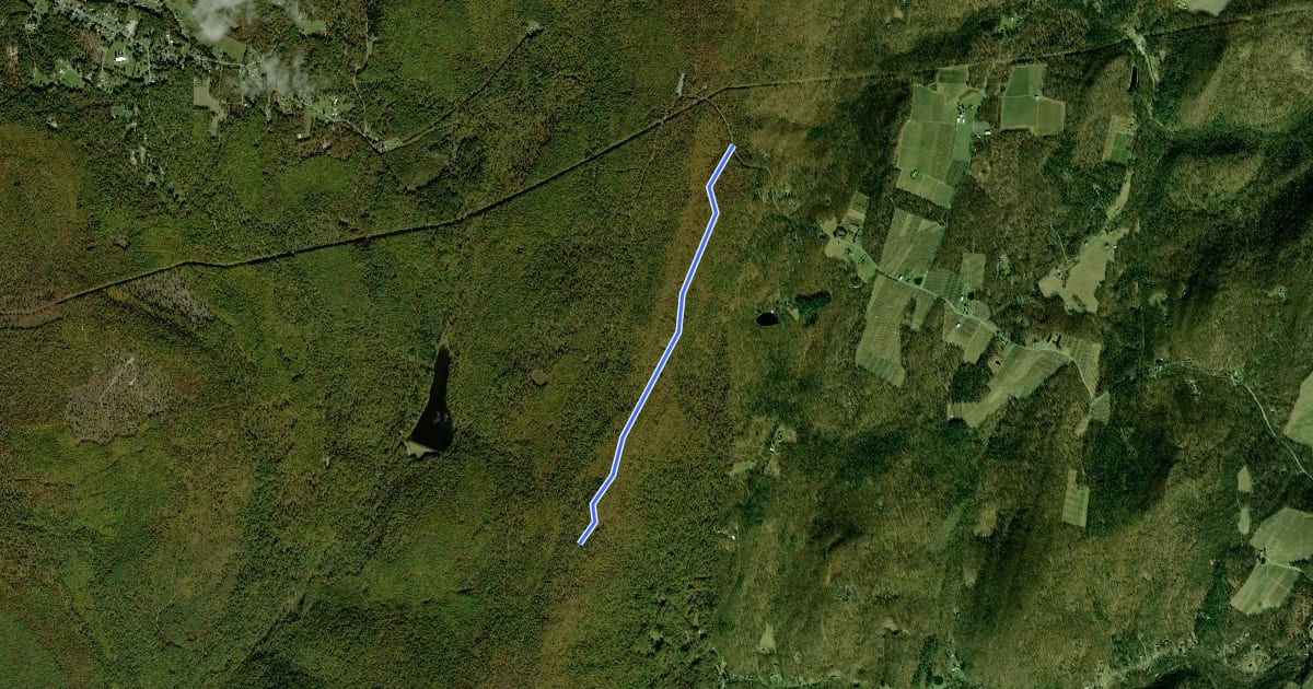 Маршрут Michaux - Stone Quarry Trail на спутниковом снимке