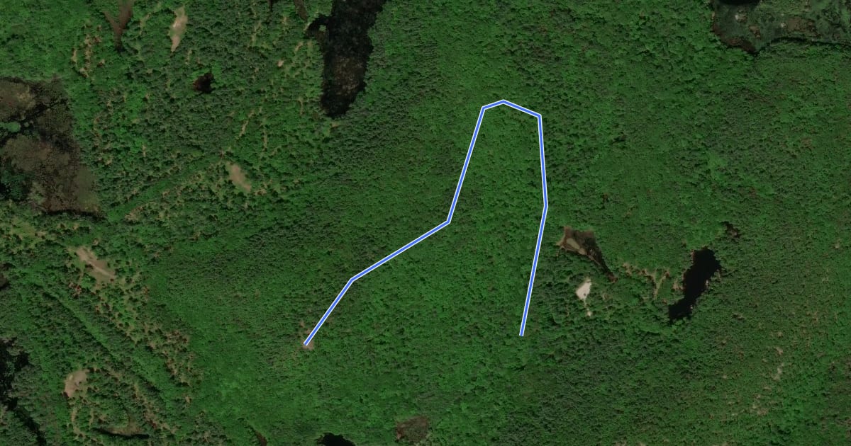 Маршрут Middle Mountain Trail на спутниковом снимке