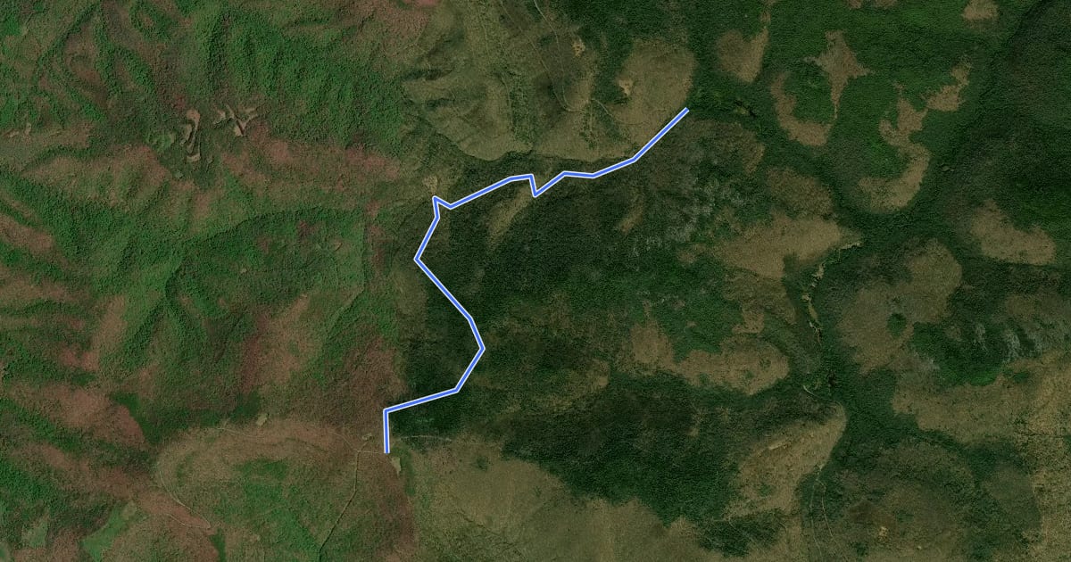 Маршрут Middle Point Trail на спутниковом снимке