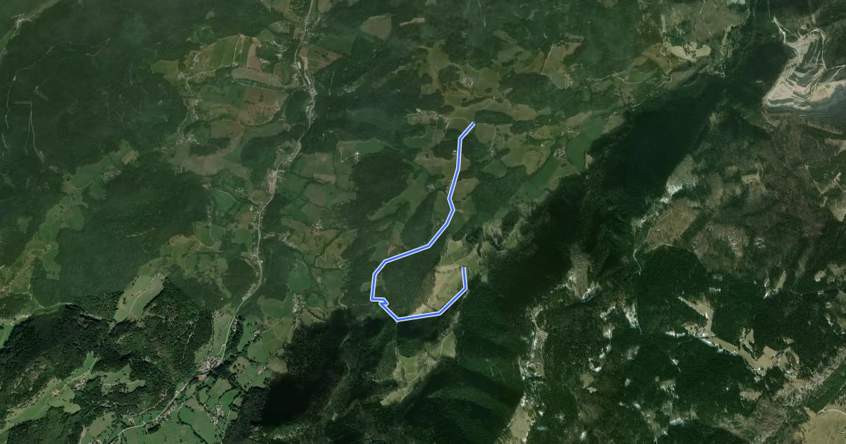 Маршрут Miesenbach (Panoramaweg) на спутниковом снимке
