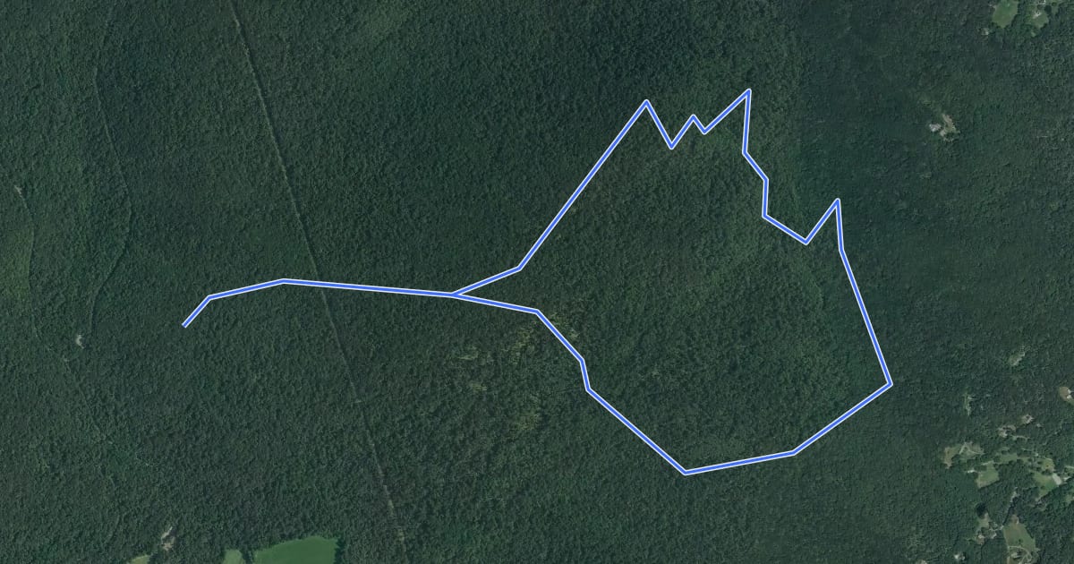 Маршрут Mill Creek Trail на спутниковом снимке