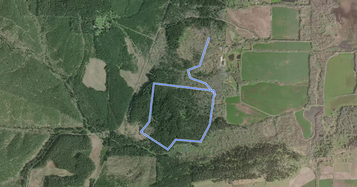 Маршрут Mill Hill Loop на спутниковом снимке