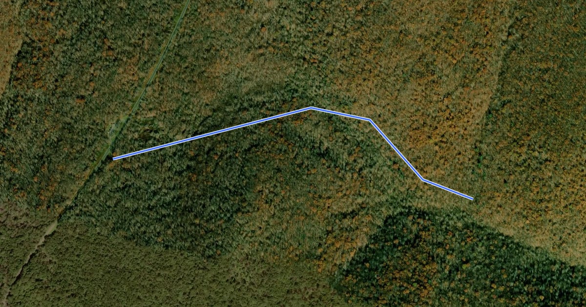 Маршрут Mill Prong Trail на спутниковом снимке