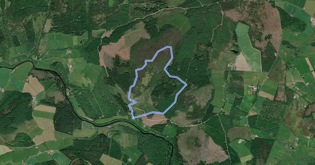 Маршрут Millstone Hill Trail на спутниковом снимке