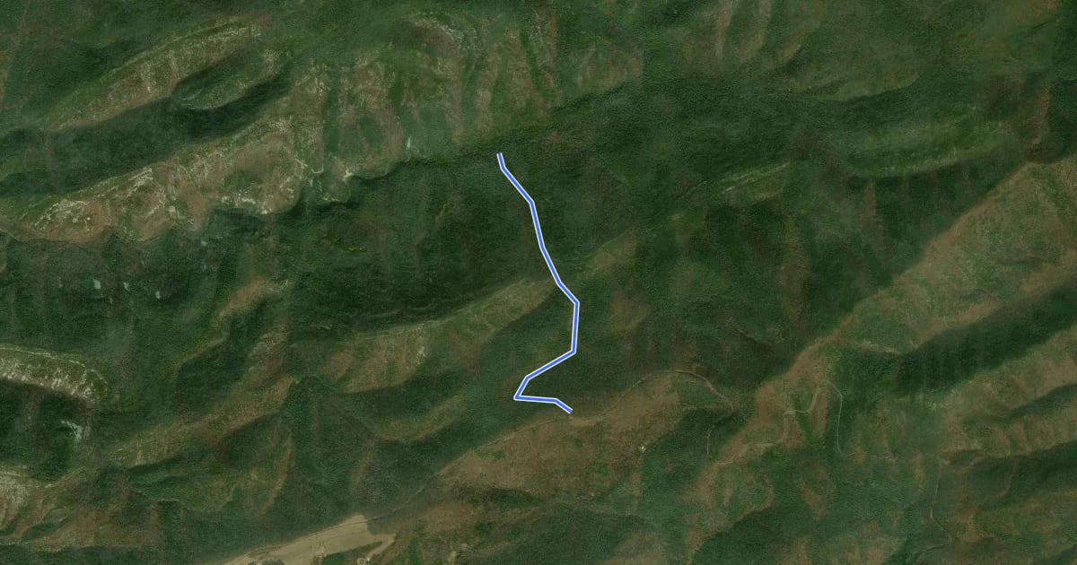 Маршрут Mine Bank Creek Trail на спутниковом снимке