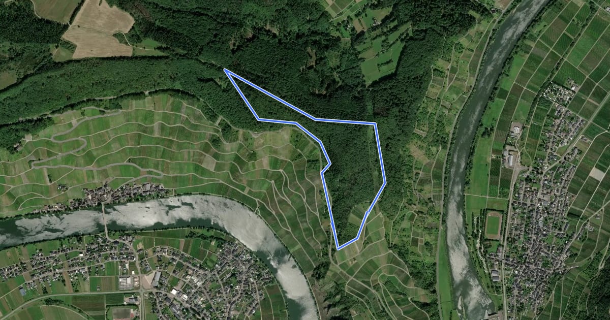 Маршрут Minheimer Wald на спутниковом снимке