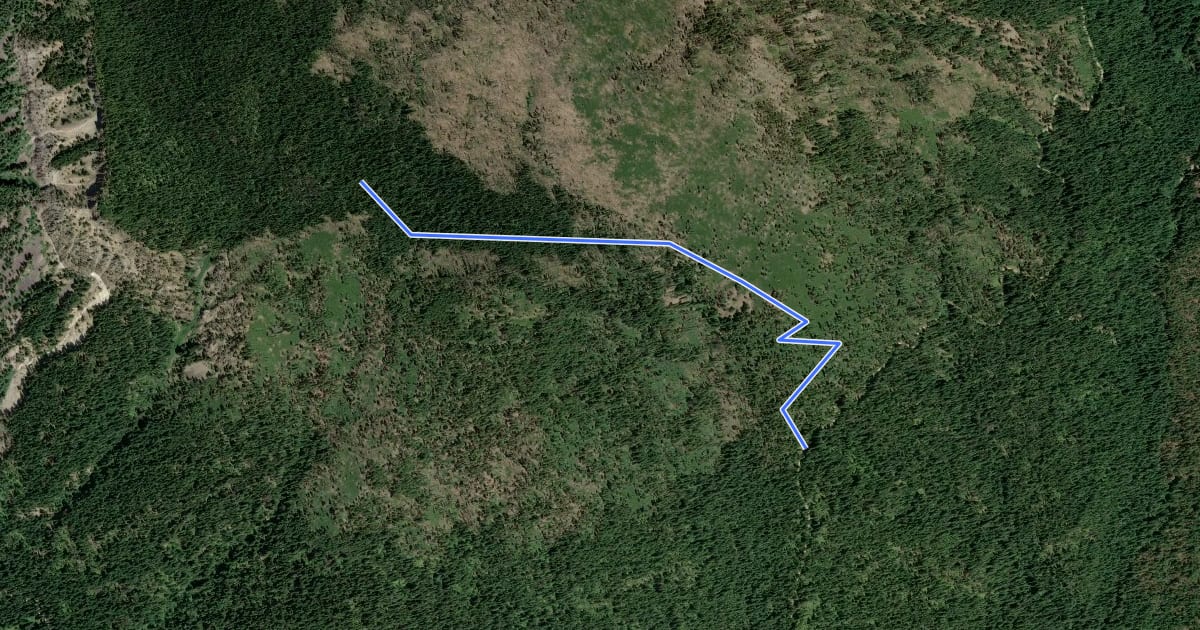 Маршрут Minnow Creek Trail на спутниковом снимке