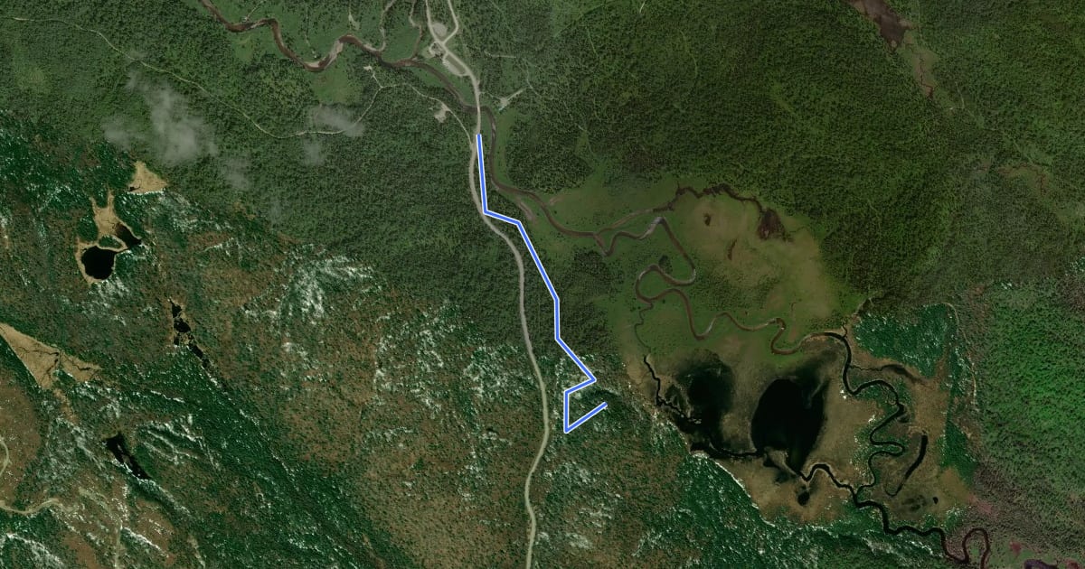 Маршрут Mirador на спутниковом снимке
