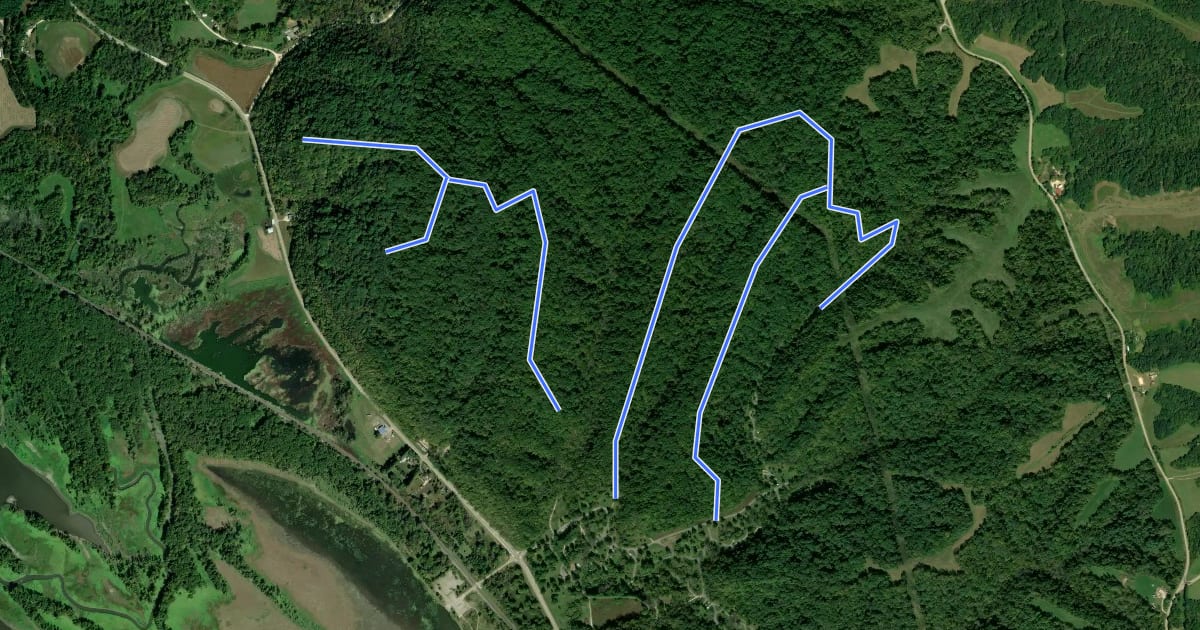 Маршрут Mississippi Palisades State Park Trails north на спутниковом снимке