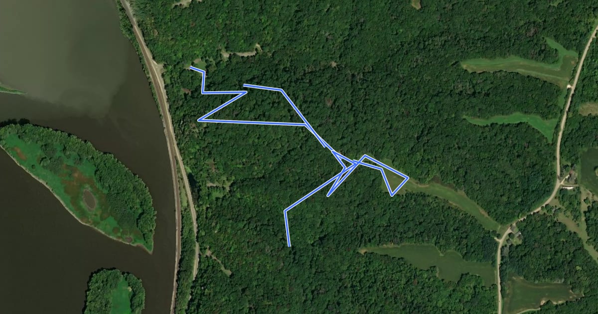 Маршрут Mississippi Palisades State Park Trails south на спутниковом снимке