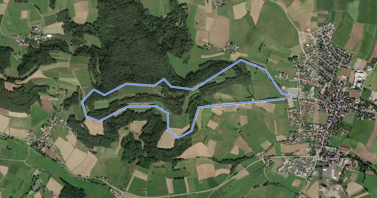 Маршрут Mistelgau Rundwanderweg "Hoher Berg" на спутниковом снимке