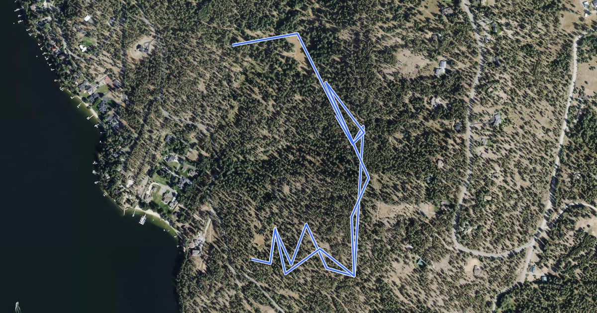 Маршрут Misty Mountain Trail на спутниковом снимке