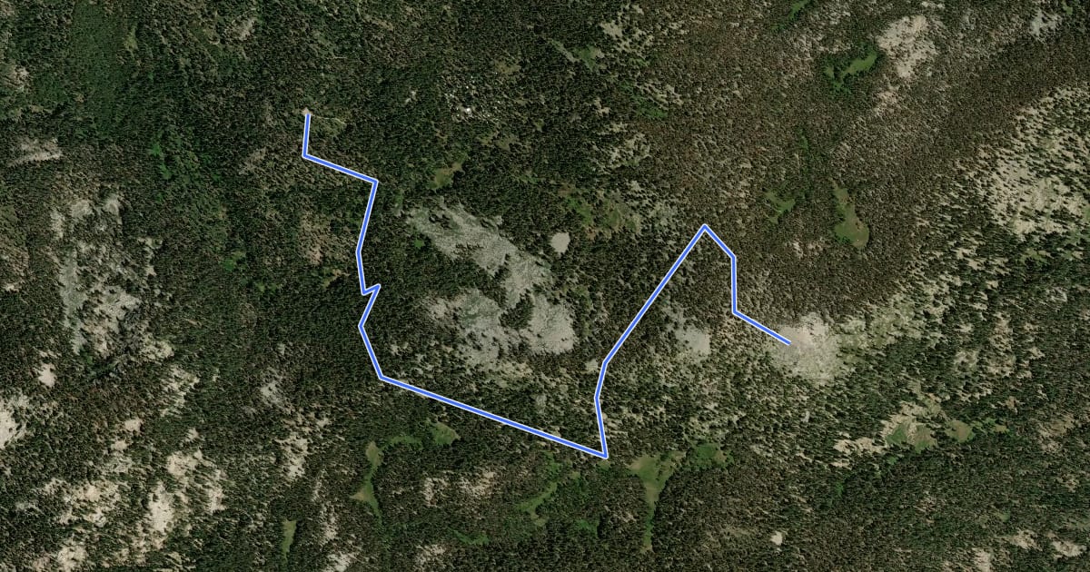 Маршрут Mitchell Peak Trail на спутниковом снимке