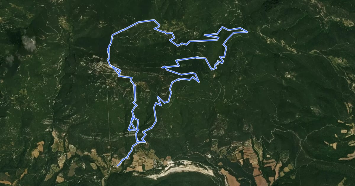 Маршрут Mitja Marató Mare de Déu del Mont (MdM) на спутниковом снимке