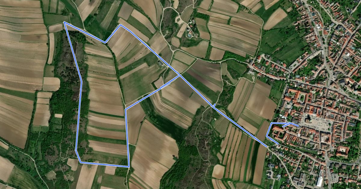 Маршрут Mittelbergweg на спутниковом снимке