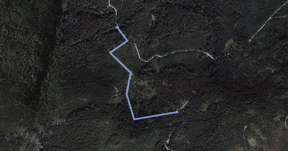 Маршрут Mittelfeldhütte - Herrenwieser Sattel на спутниковом снимке