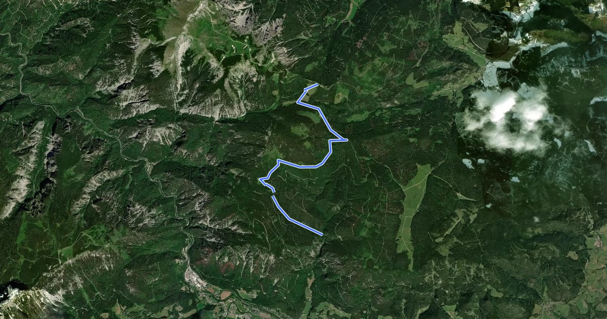 Маршрут Mitterberggraben - Knofeleben - Alpleck - Baumgartner на спутниковом снимке