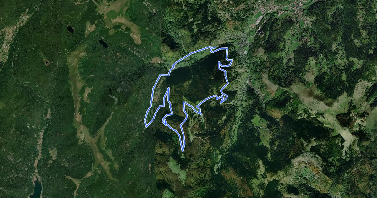 Маршрут Mittlach -Schnepfenried на спутниковом снимке