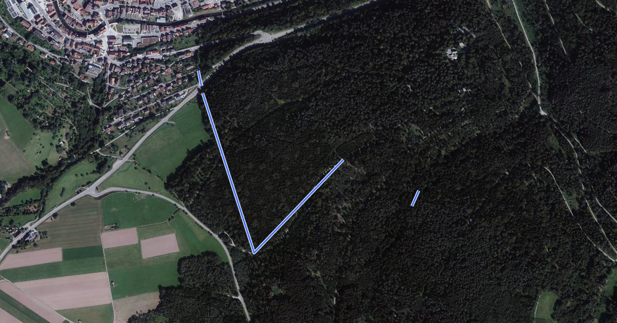Маршрут Mittlere Reute - Alter Bernecker Weg на спутниковом снимке
