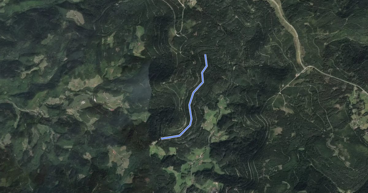 Маршрут Mittlerer Brandweg - Renchtalhütte на спутниковом снимке