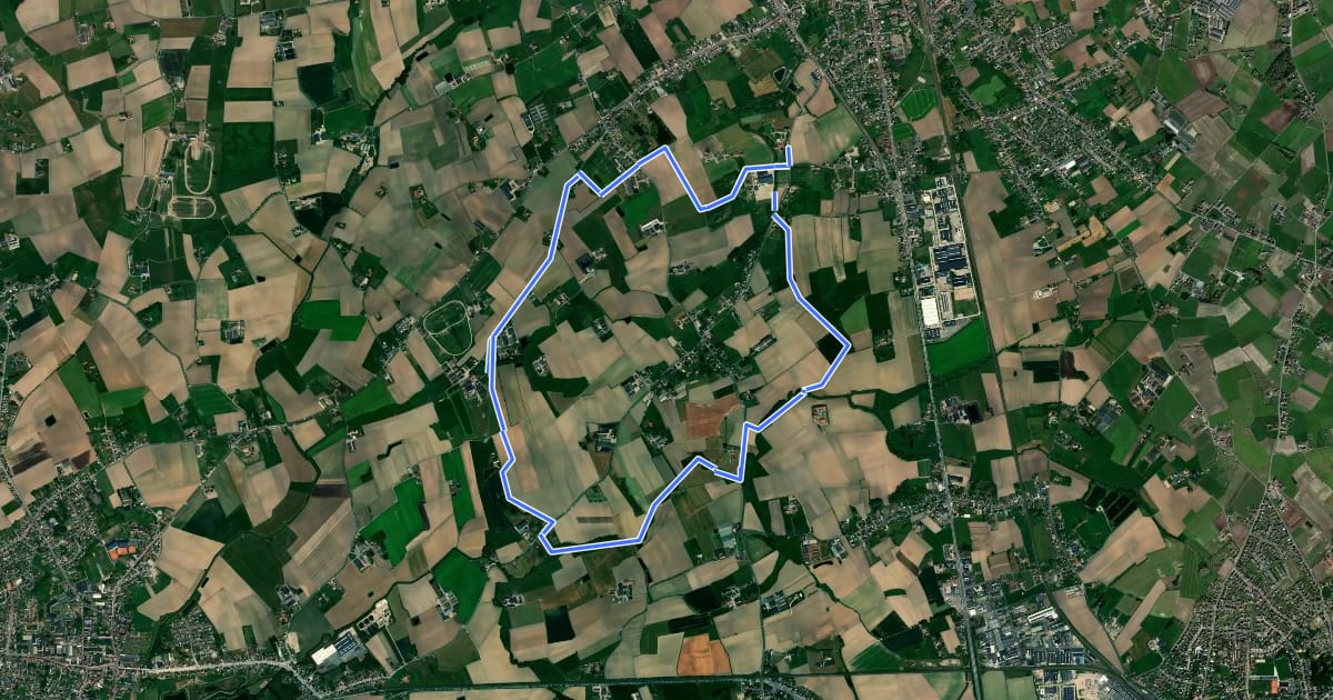 Маршрут Moereveld wandelroute на спутниковом снимке