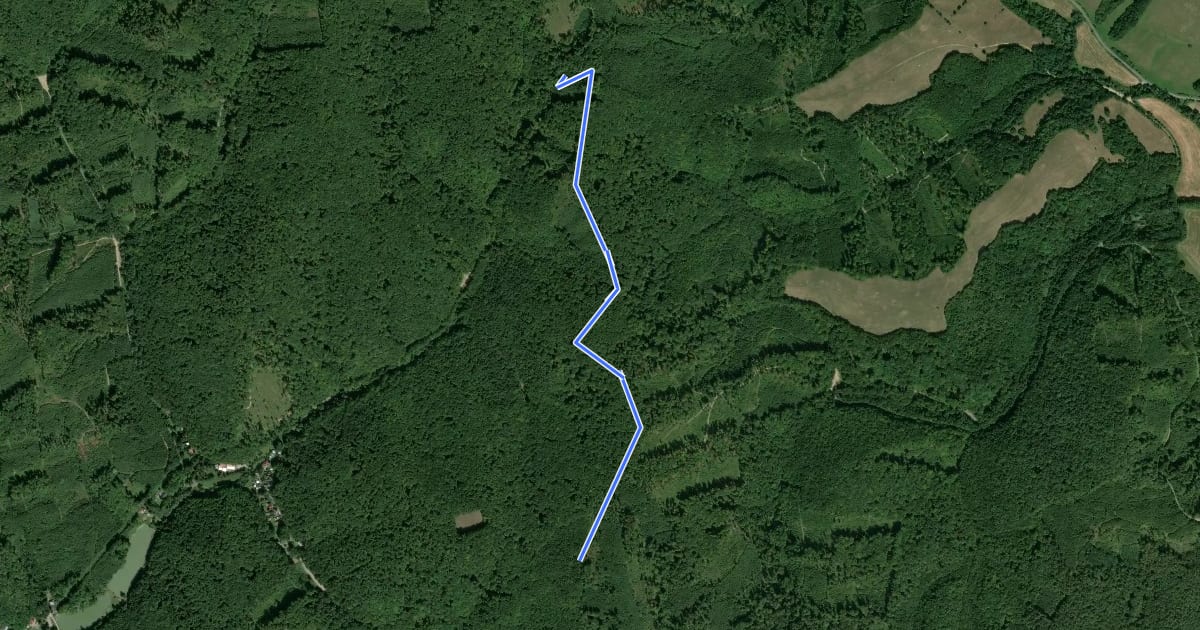 Маршрут Mohyly trail на спутниковом снимке